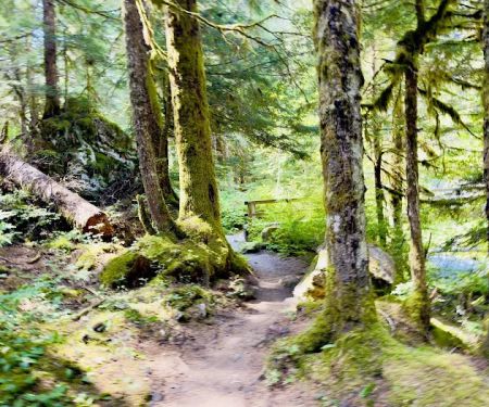 Enchanted Valley