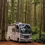 Rhododendron Campground