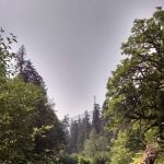 Camp Pleasant