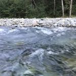 Pyrites Creek