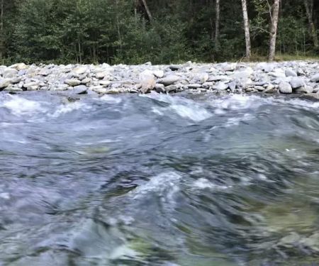Pyrites Creek