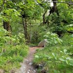 O' Neil Creek