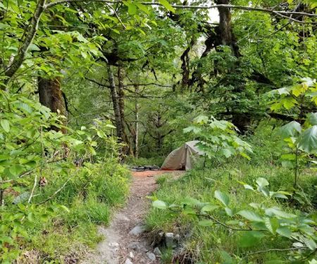 O' Neil Creek