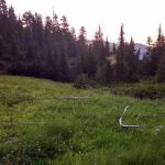 Belview