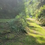 Esswine Group Camp