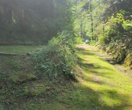 Esswine Group Camp