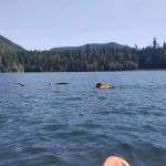 Satsop Center