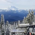 Ponderosa Camp