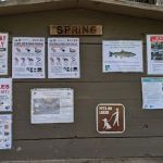 Spring campground