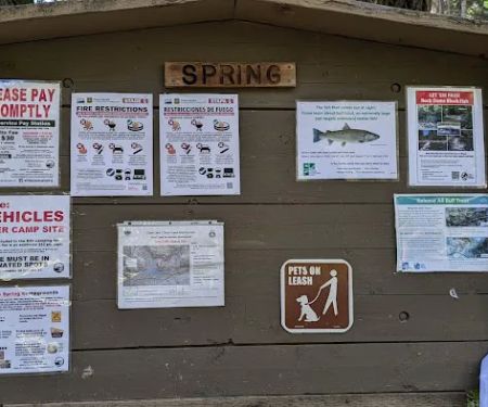 Spring campground