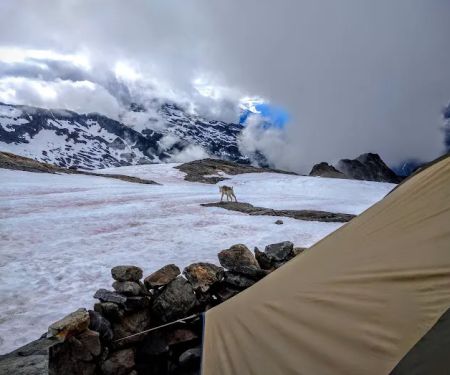 Sahale Glacier Campground