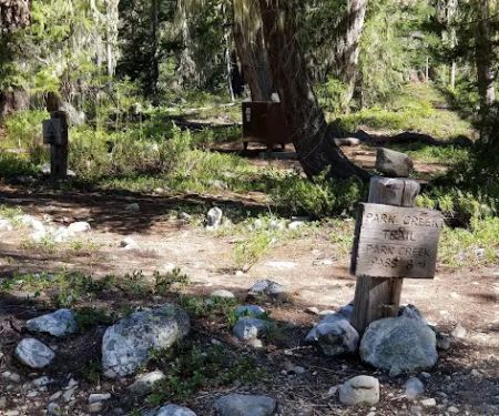 Park Creek Camp