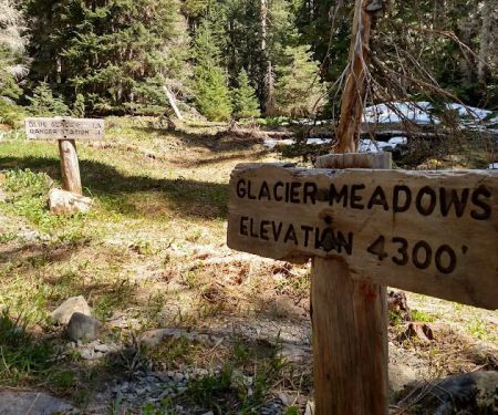 Glacier Meadows