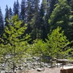 Elip Creek
