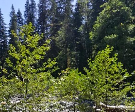 Elip Creek