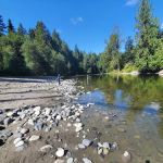 Cascade Park Camp