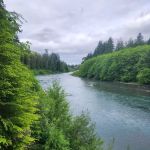Queets Campground
