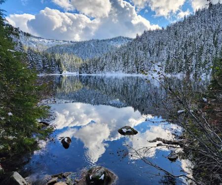 Deer Lake