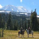 Keenes Horse Camp