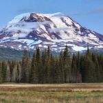 Muddy Meadows Campground