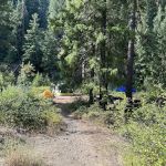 Willows Campground