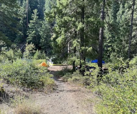 Willows Campground