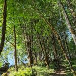 Boulder Creek Campground