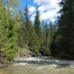 Mystery Campground