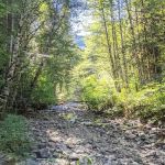 Paradise Creek