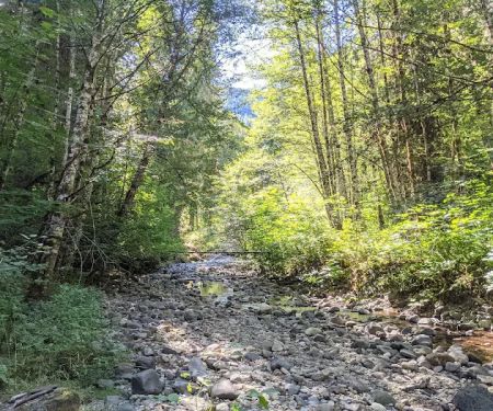 Paradise Creek