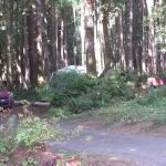 Cycle Camp