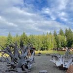 Mossquatch Resort