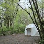 Wandering Woodlands