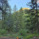 Ballard Campground