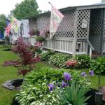 The Meadows at Watsontown, LLC