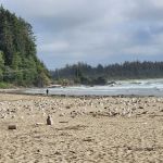 Hobuck Beach Resort