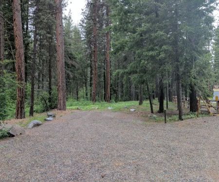 Nice Campground