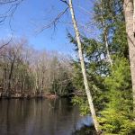 Yankeeland RV Resort