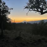 KLICKITAT VIEW CABIN