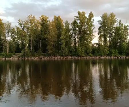 Milo Mclver State Park Campground