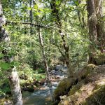 Riley Horse Campground