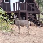Brooks Memorial State Park Retreat Center