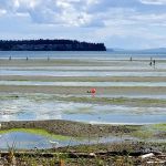 Beachside RV Park