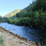 Roaring River Campground