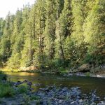 Sunstrip Campground