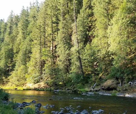 Sunstrip Campground