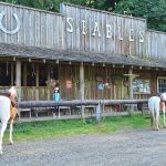 Flying M Ranch