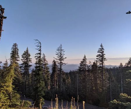 Alpine Campground