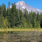 Trillium Campground