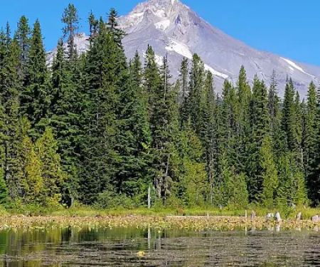 Trillium Campground